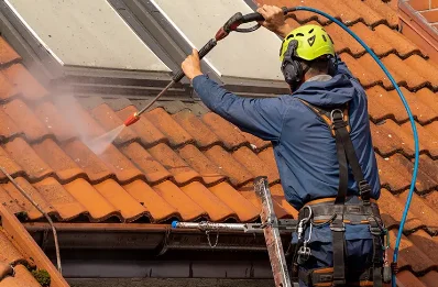 Démoussage et hydrofuge de toiture au Chautay